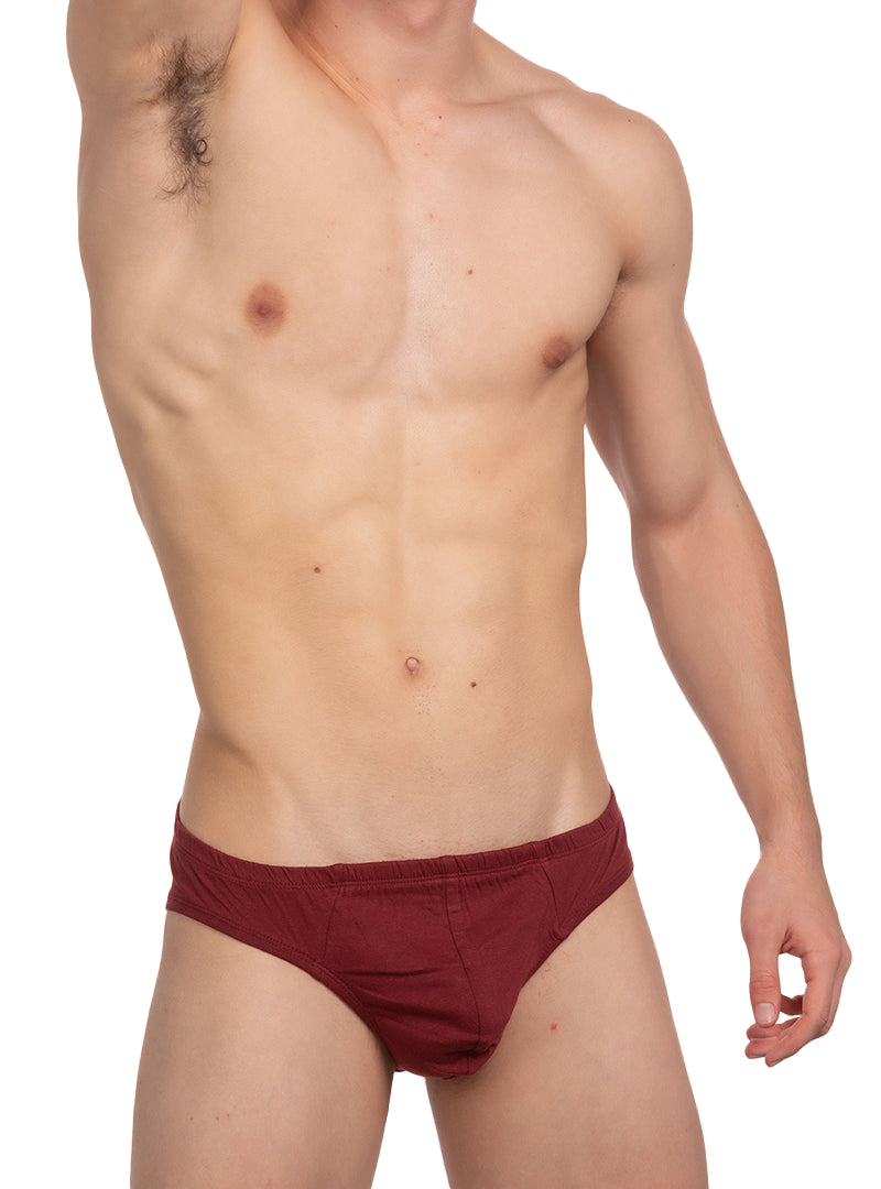 Undergear Contour French Brief